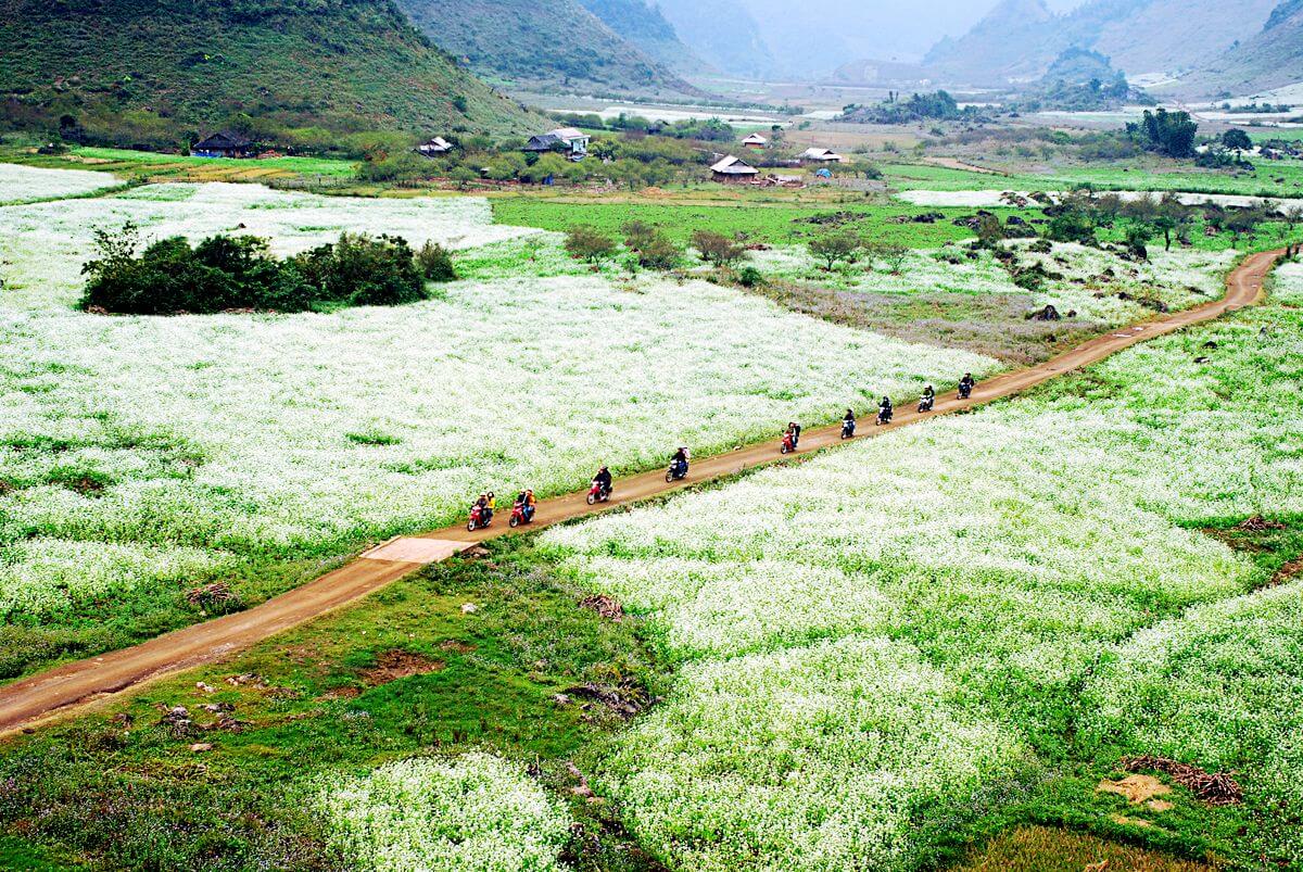 Du lịch Mộc Châu tháng 12