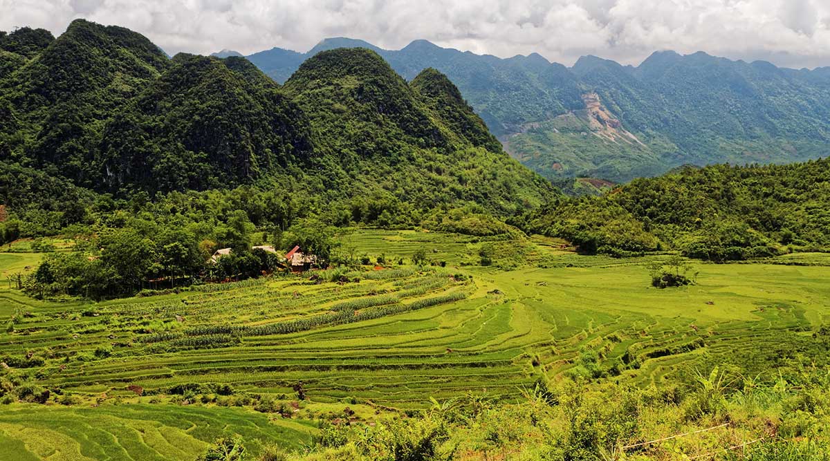 Khu bảo tồn thiên nhiên Pù Luông