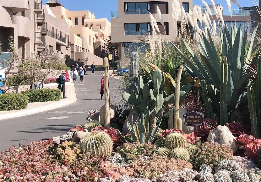 Khám phá Santorini - Phiên bản "Địa Trung Hải Thu Nhỏ" tại Đại Lý