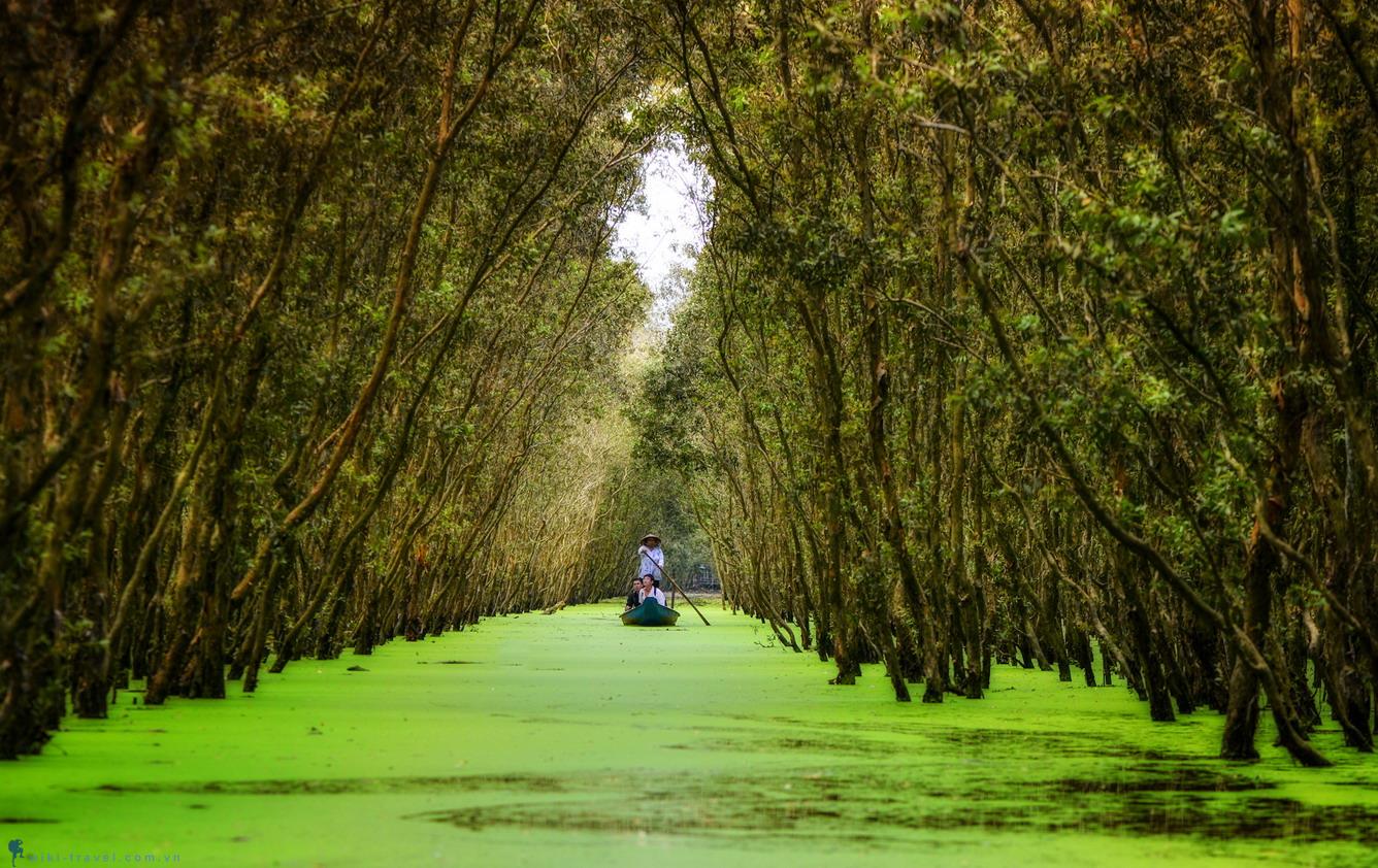 Rừng Tràm Trà Sư An Giang
