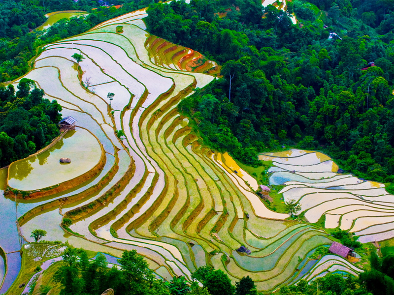 Hà Giang tháng 5 ngắm Hoàng Sù Phì mùa nước đổ