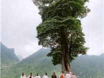 Cổng trời Cán Tỷ - Huyện Quản Bạ