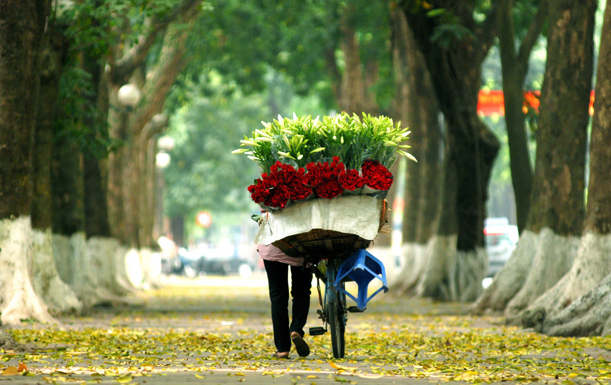 5 điểm du lịch lý tưởng nhất vào tháng 10 năm 2020