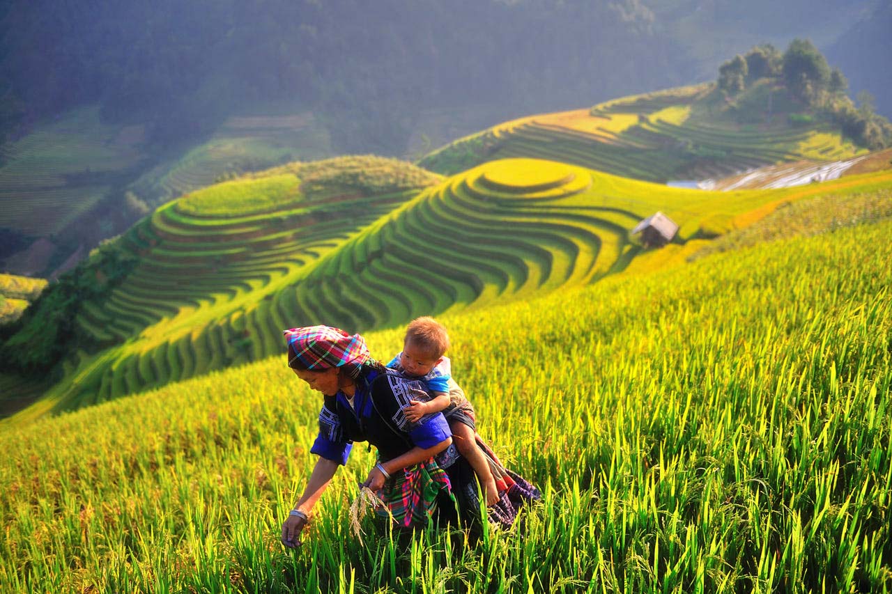 5 lý do bạn nên du lịch Sapa vào tháng 9 năm 2020