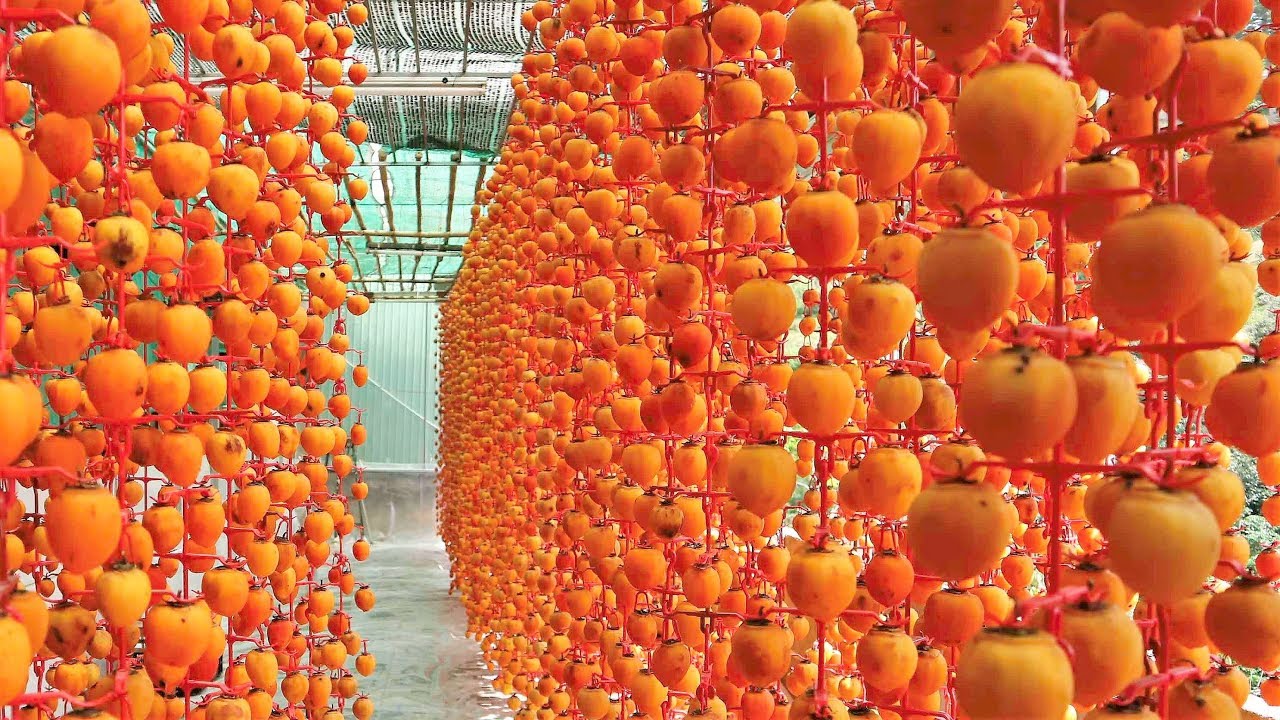 Du lịch Đà Lạt tháng 10