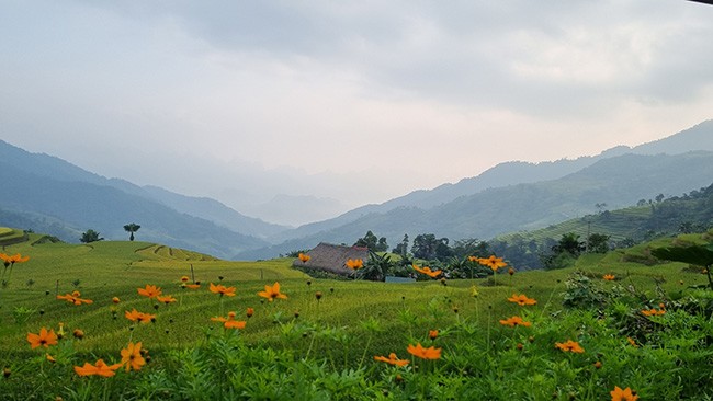 Những mái nhà rêu có một không hai tại bản người Dao bên sườn Tây Côn Lĩnh