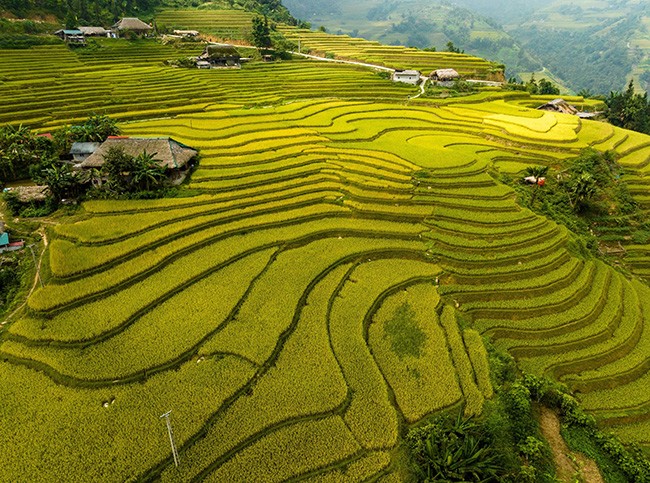 Những mái nhà rêu có một không hai tại bản người Dao bên sườn Tây Côn Lĩnh