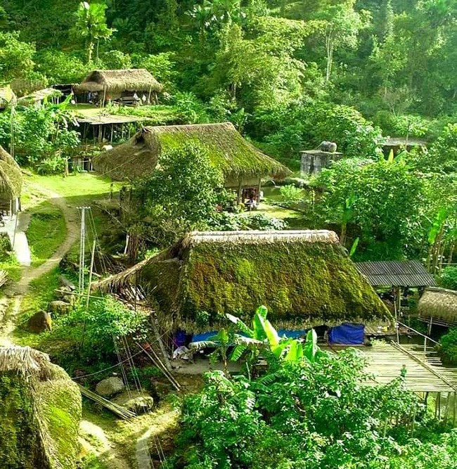 Những mái nhà rêu có một không hai tại bản người Dao bên sườn Tây Côn Lĩnh