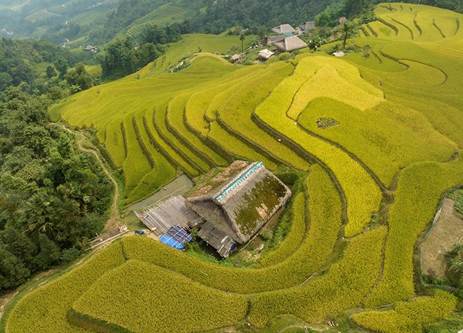Những mái nhà rêu có một không hai tại bản người Dao bên sườn Tây Côn Lĩnh