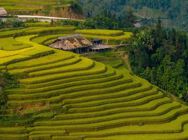 Những mái nhà rêu có một không hai tại bản người Dao bên sườn Tây Côn Lĩnh