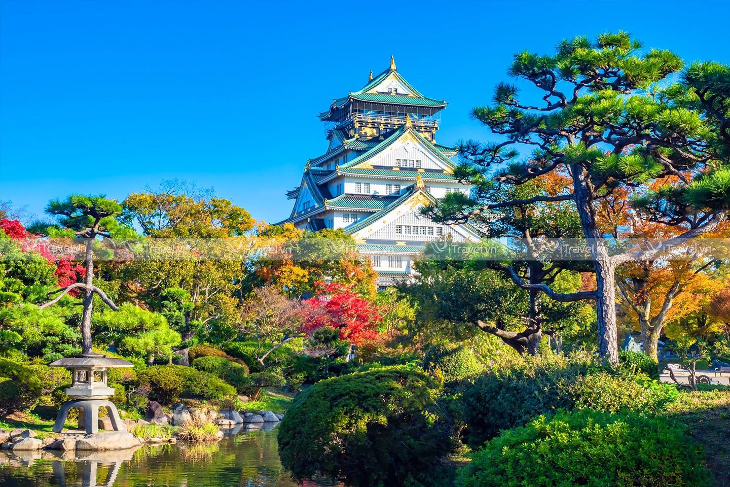 Vẻ đẹp của lâu đài văn hóa Osaka - Nhật Bản