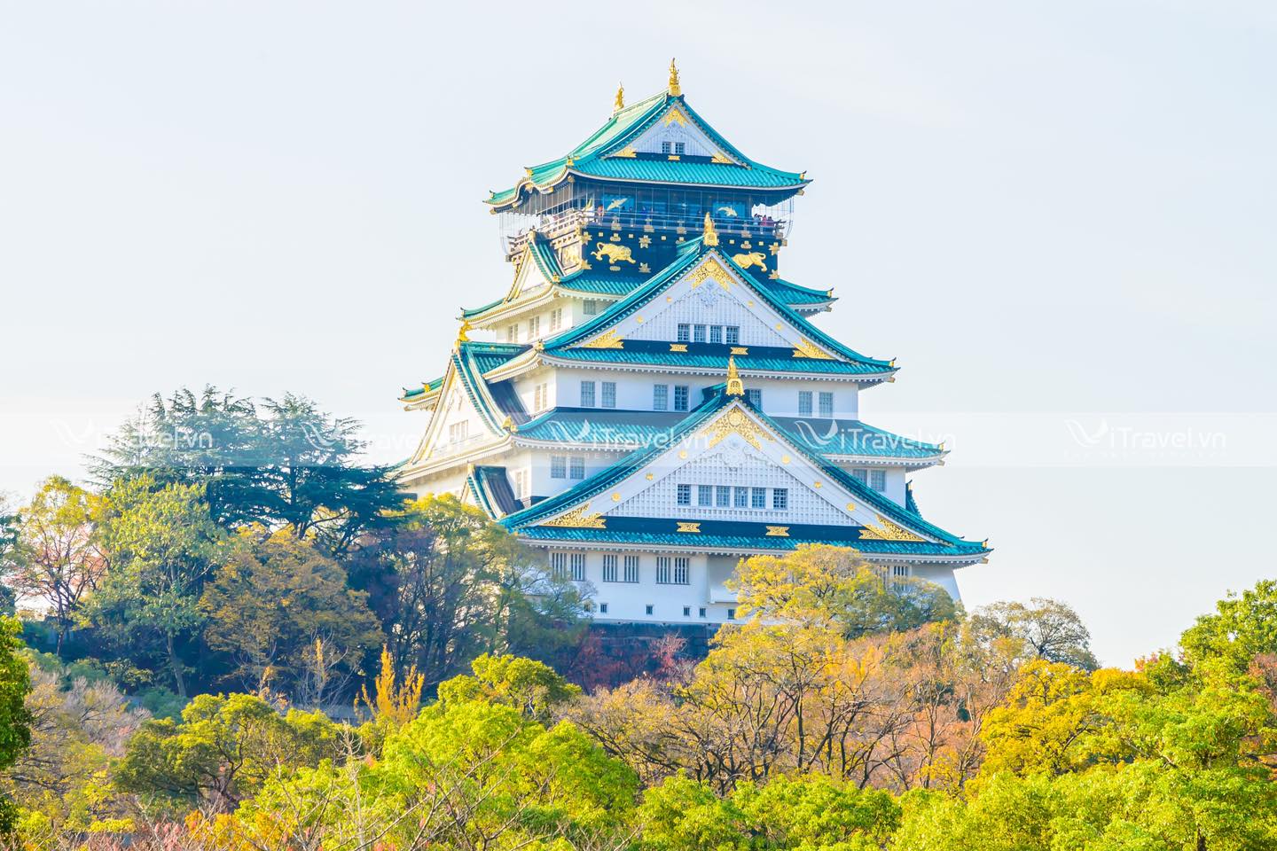 Lâu đài Osaka - Nhật bản