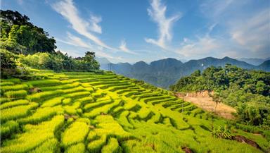 Tour du lịch Mai Châu – Pù Luông – Suối Cá thần