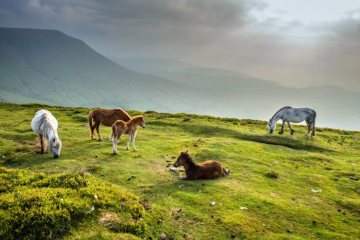 Vườn quốc gia Brecon Beacons