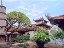 Chùa Dâu