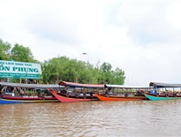 Cồn Phụng (Cồn Đạo Dừa)