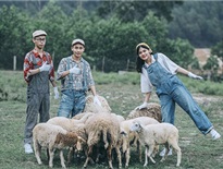 Kinh nghiệm khám phá đồng Cừu Yên Thành Nghệ An - đẹp tựa trời âu