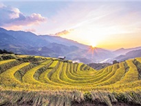 10 Điểm du lịch Mù Cang Chải - Yên Bái