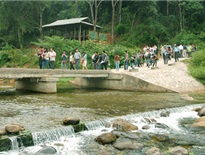 Rừng nguyên sinh Khe Rỗ