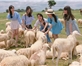 Du lịch Vũng Tàu có gì: 10 điểm đến hấp dẫn nhất