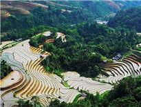 Hà Giang tháng 5 ngắm Hoàng Sù Phì mùa nước đổ