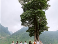 Cổng trời Cán Tỷ - Huyện Quản Bạ