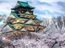 TOKYO - FUJI - KYOTO - OSAKA