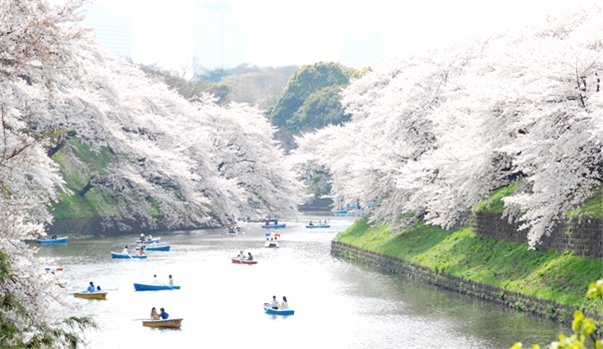 TOKYO - FUJI - KYOTO - OSAKA