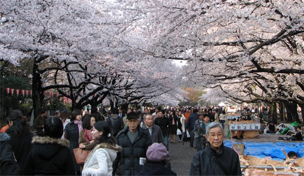 TOKYO - FUJI - KYOTO - OSAKA