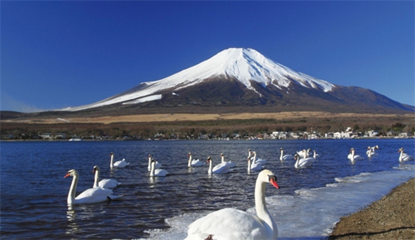TOKYO - FUJI - KYOTO - OSAKA