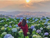 Combo du lịch là gì? Tour du lịch là gì? Nến chọn dịch vụ nào khi đi du lịch?