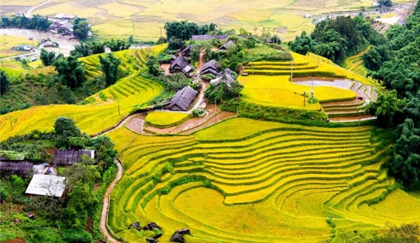 Hà Nội - Hoàng Su Phì - Bắc Hà