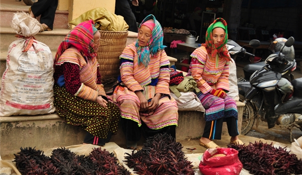 Hà Nội - Hoàng Su Phì - Bắc Hà
