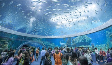 Hà Nội - Nha Trang - Hà Nội