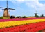Hà Nội - Đức - Luxembourg - Bỉ - Hà Lan - Đức