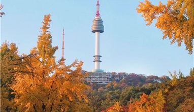 Tour Hà Nội - Hoàng Sơn - Thượng Hải - hàng Châu 6 Ngày 5 đêm