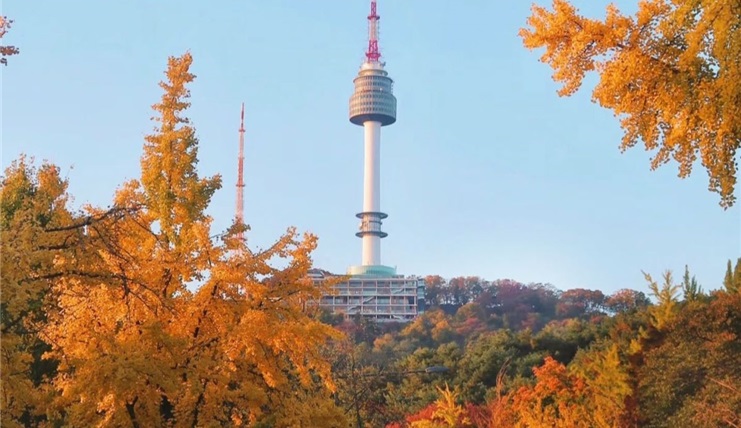 Tour Hà Nội - Hoàng Sơn - Thượng Hải - hàng Châu 6 Ngày 5 đêm