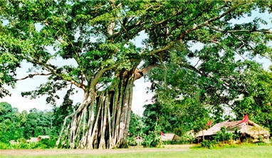 Hà Nội - Lâm Bình - Lễ hội Trung Thu Tuyên Quang - Tân Trào - Hà Nội