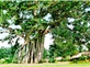 Hà Nội - Lâm Bình - Lễ hội Trung Thu Tuyên Quang - Tân Trào - Hà Nội