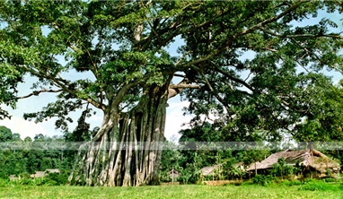 Hà Nội - Tân Trào - Na Hang - Tuyên Quang