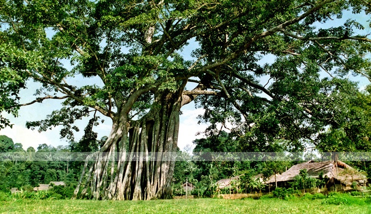 Hà Nội - Tân Trào - Na Hang - Tuyên Quang
