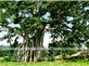 Hà Nội - Tân Trào - Na Hang - Tuyên Quang