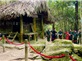 Hà Nội - Tân Trào - Na Hang - Tuyên Quang