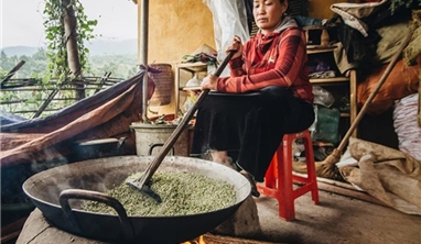 Hà Nội – Đồi chè Long Cốc – Nghĩa Lộ - Mù Cang Chải – Ngọc Chiến – Hà Nội