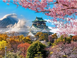 Vẻ đẹp của lâu đài văn hóa Osaka - Nhật Bản