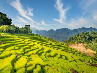 Tour du lịch Mai Châu – Pù Luông – Suối Cá thần