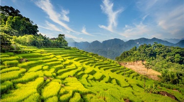 Tour du lịch Mai Châu – Pù Luông – Suối Cá thần