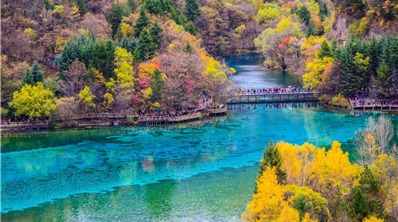 Tour du lịch Thành Đô - Cửu Trại Câu: Công Viên Gấu Trúc – Cửu Trại Câu - Thành Cổ Tùng Phan – Lạc Sơn Đại Phật 6 Ngày 5 Đêm