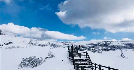 Cơn Sốt "Săn Tuyết" Ngay Sát Vách Việt Nam: Núi Kiệu Tử Côn Minh Đẹp Tựa Trời Âu