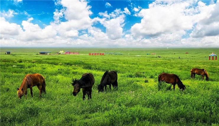 Tour Nội Mông 8N7Đ: Hà Nội - Sa Mạc Vọng Âm – Thảo Nguyên Ordos – Ngân Xuyên – Thủy Động Câu - Công Viên Lanshan - Phim Trường Phương Tây
